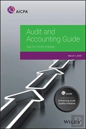 Audit And Accounting Guide