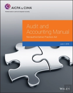 Bertrand.pt - Audit And Accounting Manual: Nonauthoritative Practice Aid, 2019