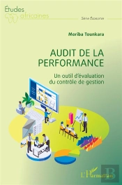 Audit De La Performance - Un Outil D'Evaluation Du Controle De Gestion