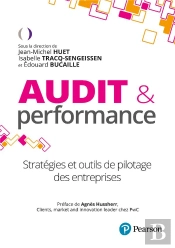Audit Et Performance