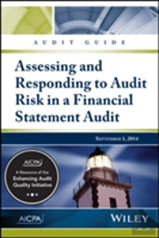 Audit Guide