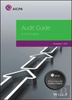 Audit Guide