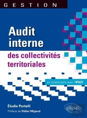 Audit Interne  Des Collectivités Territoriales