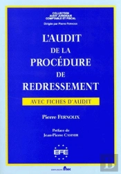 Audit Procedure De Redressem.