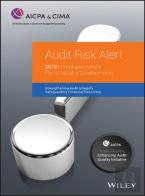 Audit Risk Alert