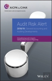 Audit Risk Alert: General Accounting And Auditing Developments 2018/19