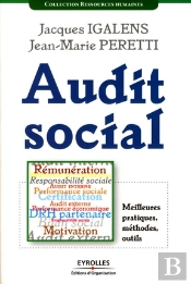 Audit Social ; Meilleures Pratiques, Méthodes, Outils