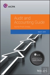 Auditing And Accounting Guide