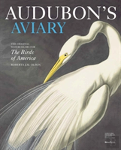 Bertrand.pt - Audubon'S Aviary