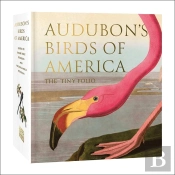 Audubon'S Birds Of America