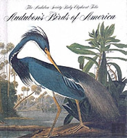 Bertrand.pt - Audubon'S Birds Of America