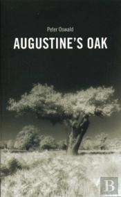 Augustine'S Oak