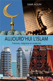 Aujourd'Hui L'Islam ; Fractures, Intégrisme Et Modernité