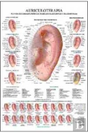 Auriculoterapia Poster