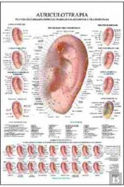 Bertrand.pt - Auriculoterapia Poster