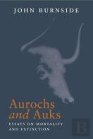 Aurochs And Auks