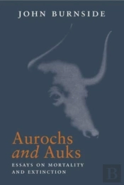 Aurochs And Auks