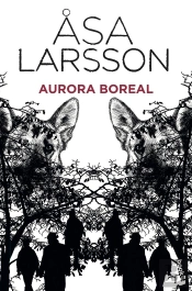 Aurora Boreal