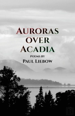 Bertrand.pt - Auroras Over Acadia