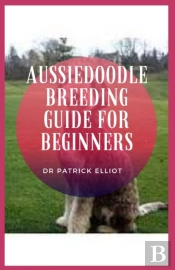 Aussiedoodle Breeding Guide For Beginners