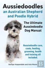 Aussiedoodles. The Ultimate Aussiedoodle