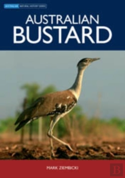 Bertrand.pt - Australian Bustard