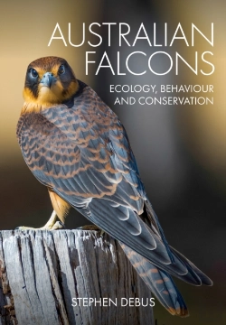 Bertrand.pt - Australian Falcons