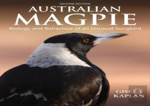 Australian Magpie