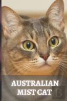 Australian Mist Cat