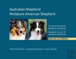 Bertrand.pt - Australian Shepherd, Miniature American Shepherd