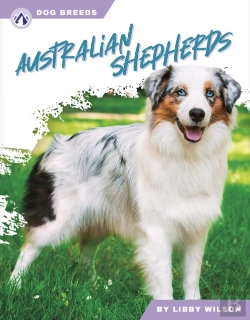 Bertrand.pt - Australian Shepherds