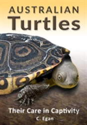 Australian Turtles