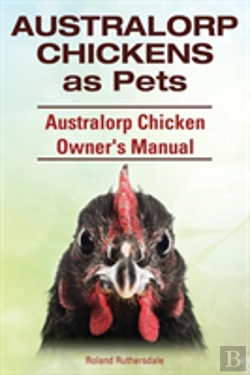 Bertrand.pt - Australorp Chickens As Pets. Australorp Chicken Owner'S Manual.