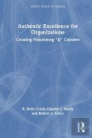Authentic Excellence For Organizations