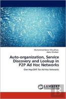 Auto-Organization, Service Discovery And Lookup In P2p Ad Hoc Networks
