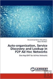 Auto-Organization, Service Discovery And Lookup In P2p Ad Hoc Networks