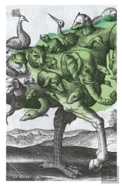 Autobiographie De L'Esprit