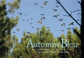 Automne Bleu, Chasse A La Palombe