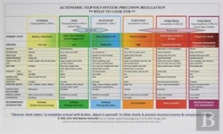 Bertrand.pt - Autonomic Nervous System Table: Laminated Card