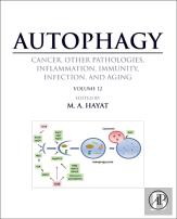 Autophagy: Cancer, Other Pathologies, Inflammation, Immunity, Infection, And Aging