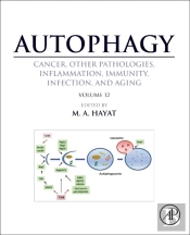 Autophagy: Cancer, Other Pathologies, Inflammation, Immunity, Infection, And Aging