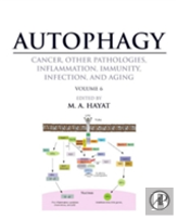 Autophagy: Cancer, Other Pathologies, Inflammation, Immunity, Infection, And Aging
