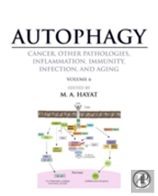 Autophagy: Cancer, Other Pathologies, Inflammation, Immunity, Infection, And Aging