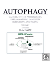 Autophagy: Cancer, Other Pathologies, Inflammation, Immunity, Infection, And Aging