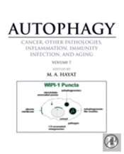 Autophagy: Cancer, Other Pathologies, Inflammation, Immunity, Infection, And Aging
