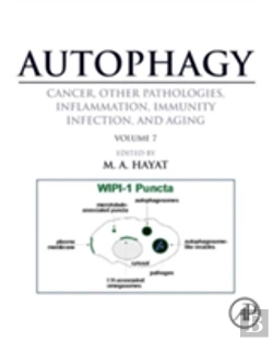 Bertrand.pt - Autophagy: Cancer, Other Pathologies, Inflammation, Immunity, Infection, And Aging