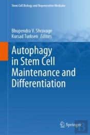 Autophagy In Stem Cell Maintenance And Differentiation