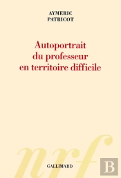 Autoportrait Du Professeur En Territoire Difficile