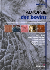 Autopsie Des Bovins