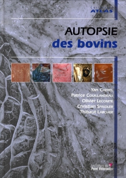 Bertrand.pt - Autopsie Des Bovins
